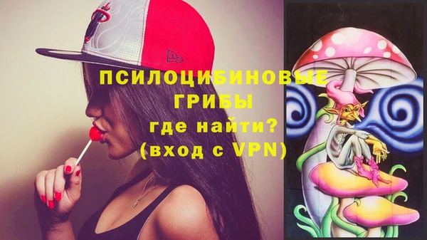 МДПВ Алексеевка