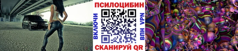 Псилоцибиновые грибы Psilocybine cubensis Микунь